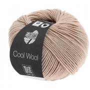 Cool Wool - Palissandro chiaro 2010