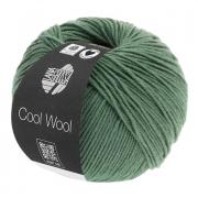 Cool Wool - Grigio-verde scuro 2021