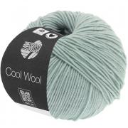 Cool Wool - Grigio ghiaccio 2028