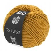 Cool Wool - Miele 2035