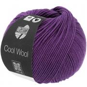 Cool Wool - Melanzana 2109