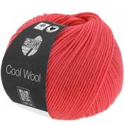 Cool Wool - Aragosta 2112