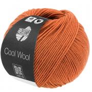 Cool Wool - Marrone aranciato 2116