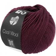Cool Wool - Borgogna 2118