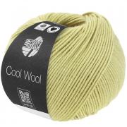 Cool Wool - Verde pastello 2122