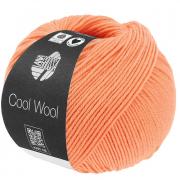 Cool Wool - Salmone 2123